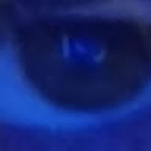 Meet your Posher, Berry